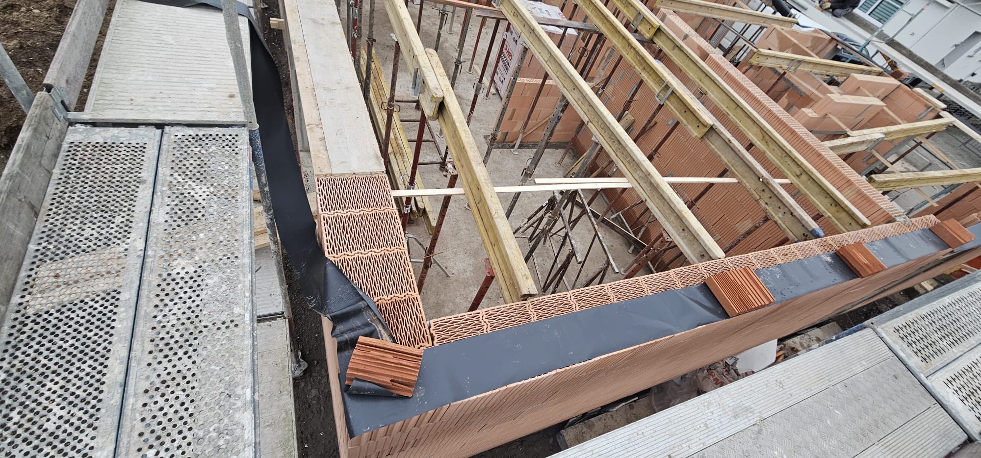 WhatsApp Image 2024-12-13 at 13.03.53