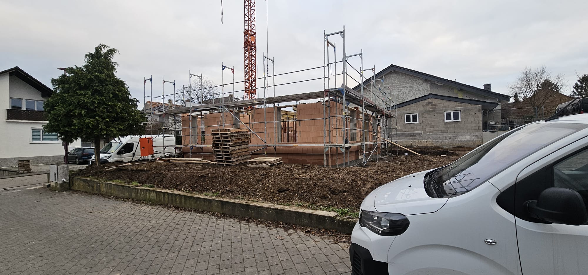 WhatsApp Image 2024-12-13 at 13.04.36